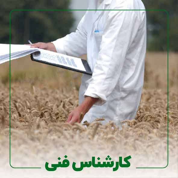 کارشناس فنی 